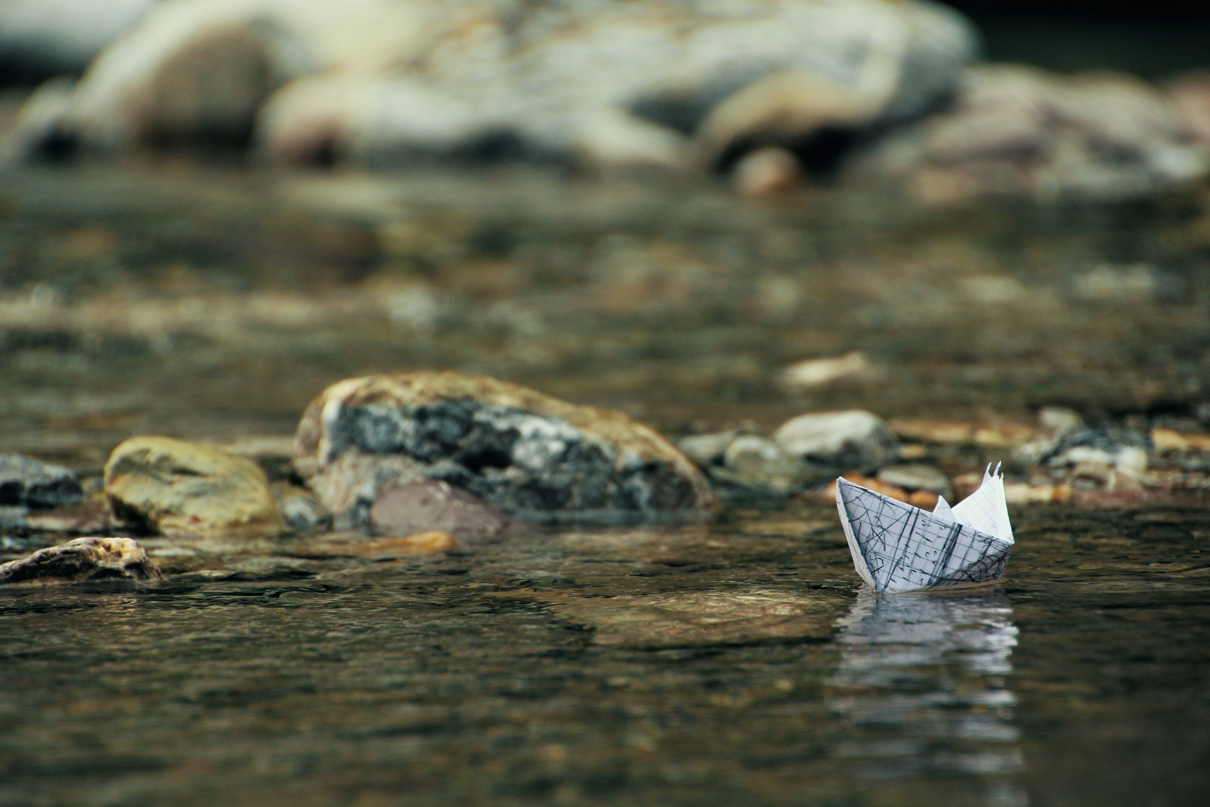 Green bonds : les obligations vertes tiennent-elles vraiment leurs promesses climatiques ?