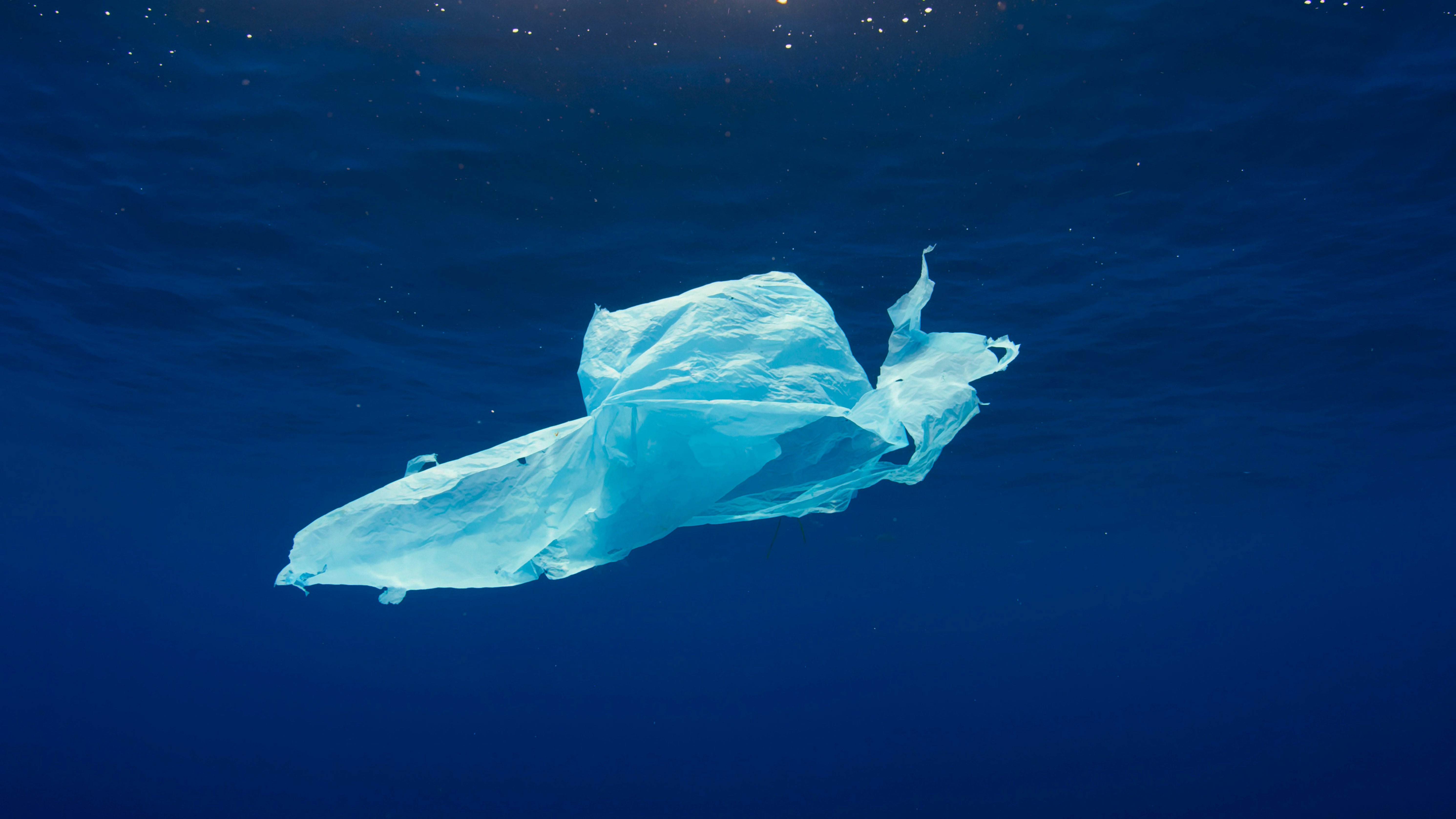 Sac plastique : histoire d’une invention devenue symbole du jetable